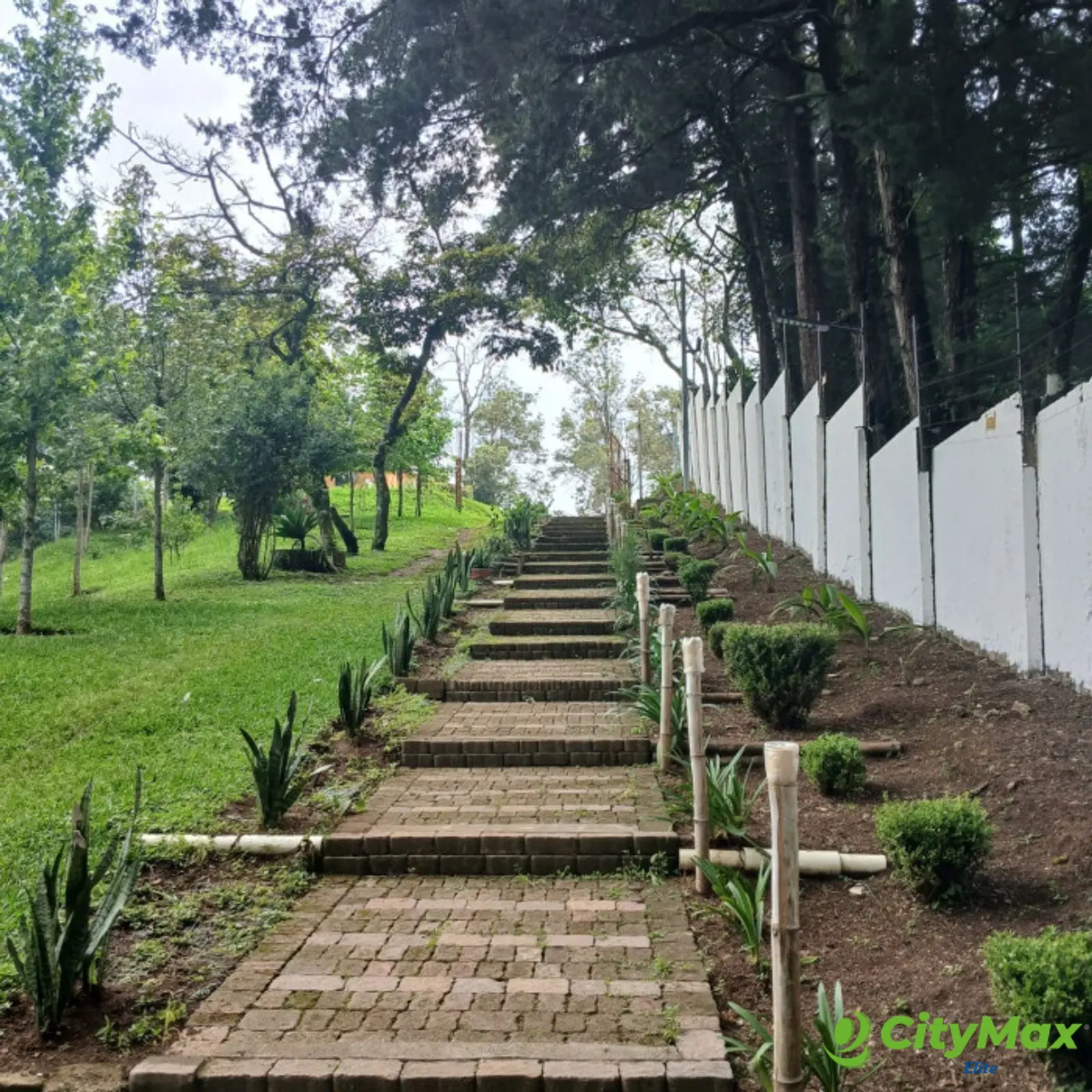TERRENO EN VENTA EN SAN MARTIN DE ALLENDE - CES - foto 15