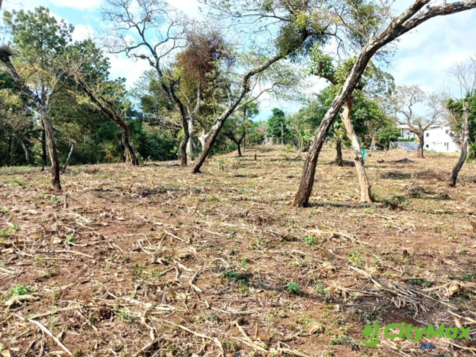 TERRENO EN VENTA EN FRAIJANES - foto 2
