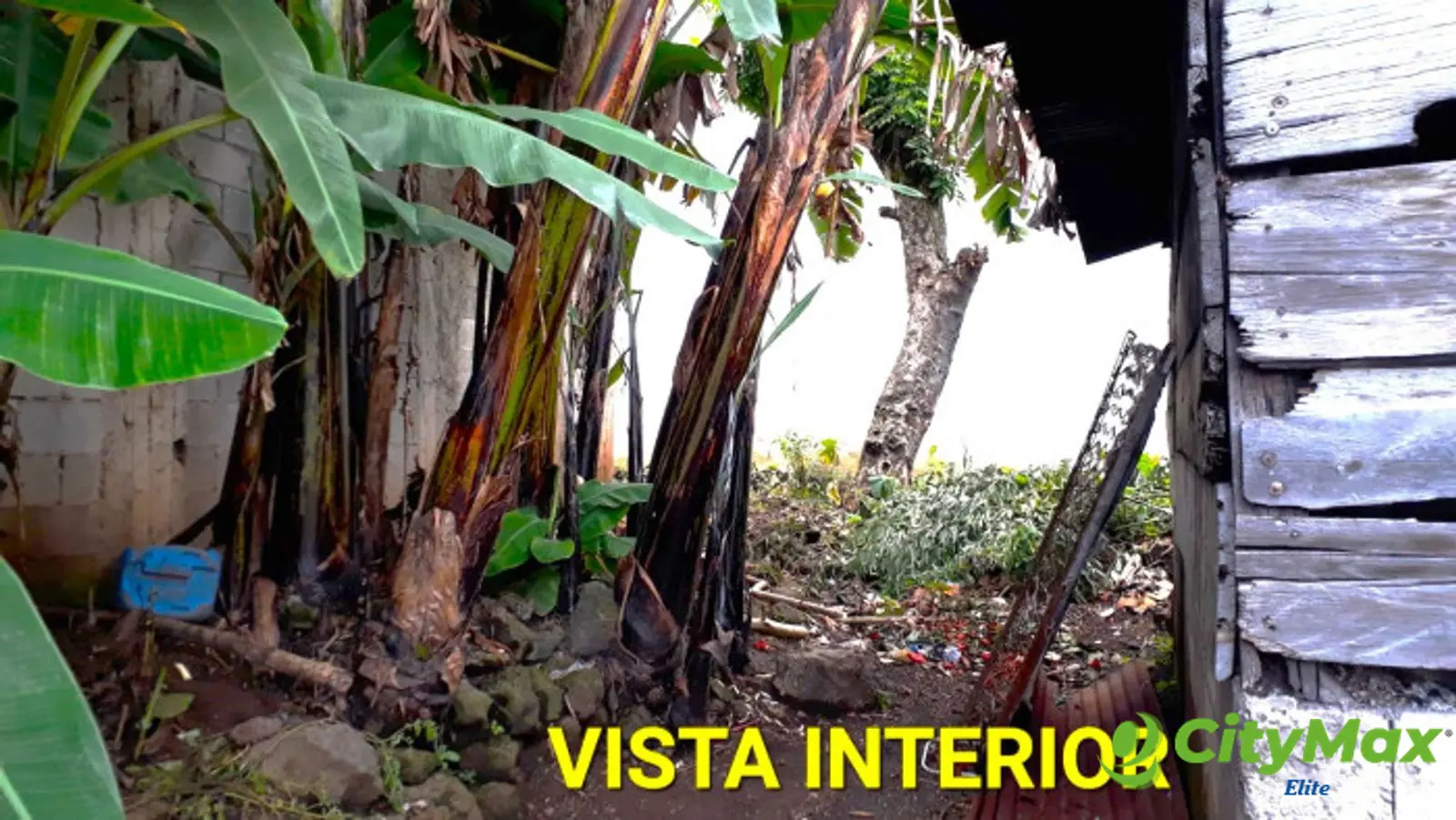Terreno en Renta en Carretera Principal en Barberena - VISTA INTERIOR
