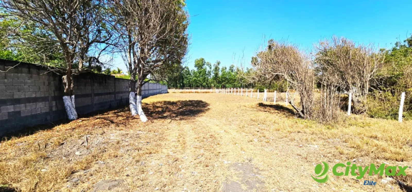 TERRENO EN VENTA EN IZTAPA A 20 METROS DEL MAR - foto 3