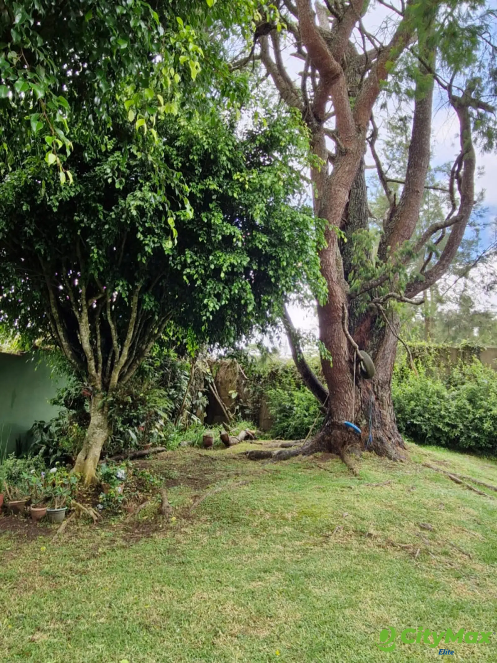 Venta o Renta de Casa - foto 5