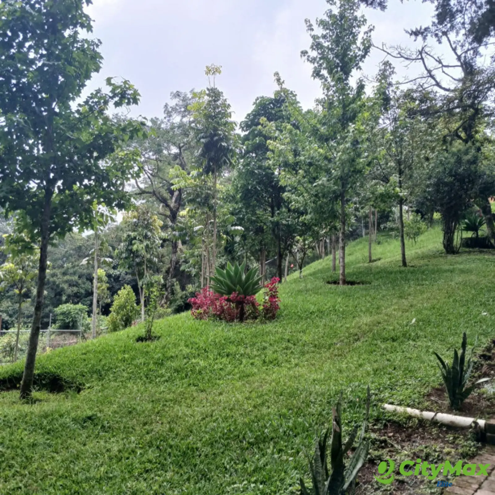 TERRENO EN VENTA EN SAN MARTIN DE ALLENDE - CES - foto 18