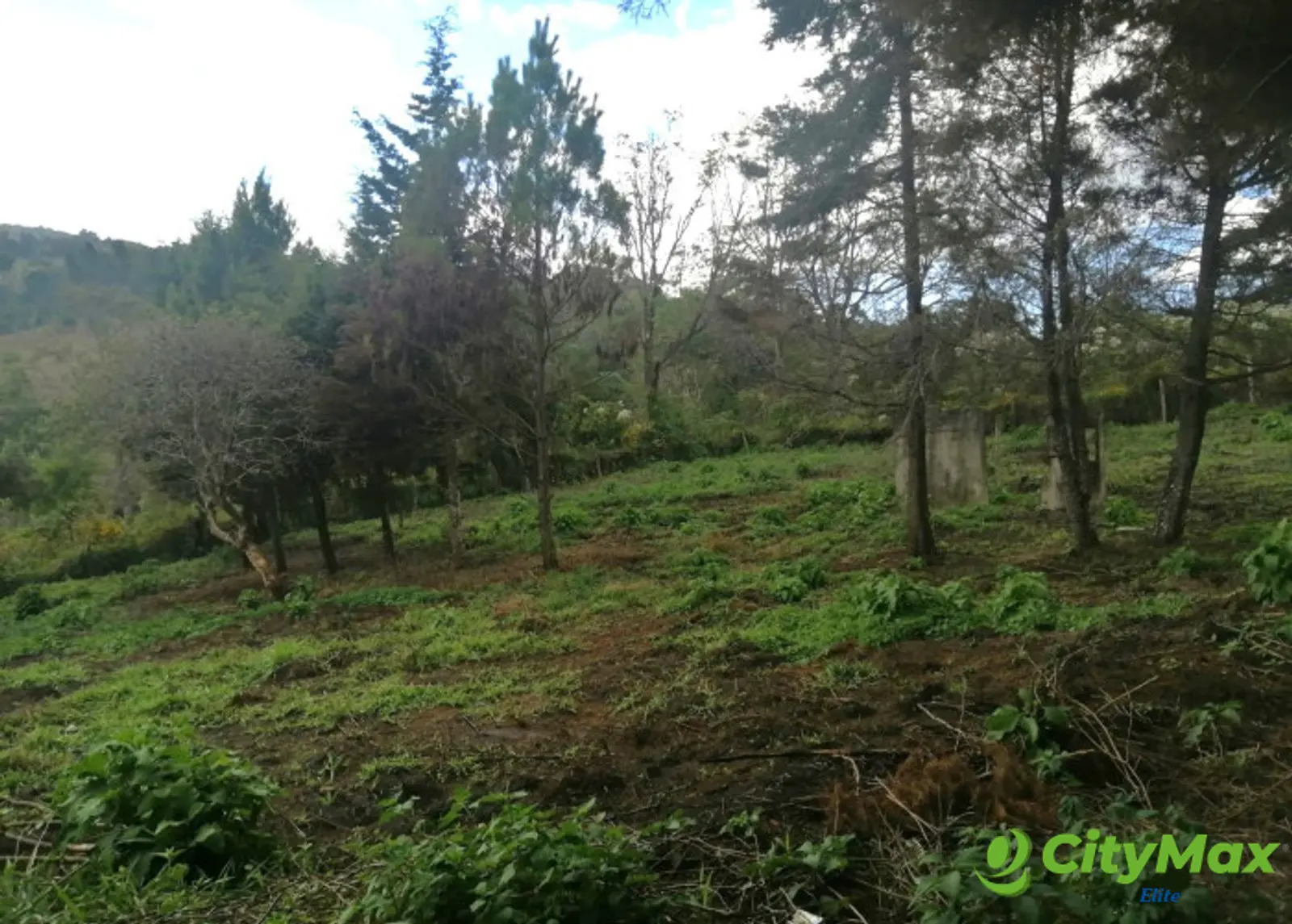 TERRENO RESIDENCIAL EN VENTA EN VILLA CANALES - foto 11