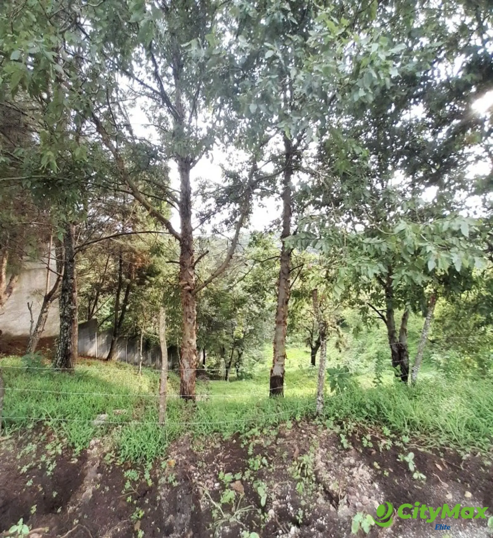 Lote en venta, Sausalito Fraijanes Km. 19.8 - foto 4