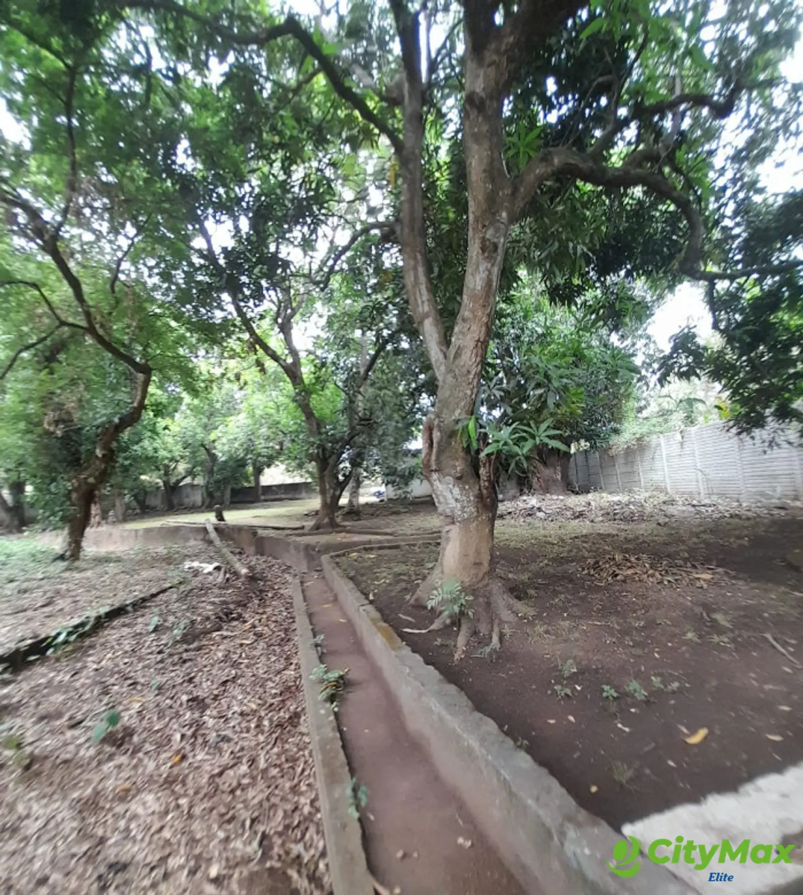 Terreno en Venta en Escuintla - foto 10