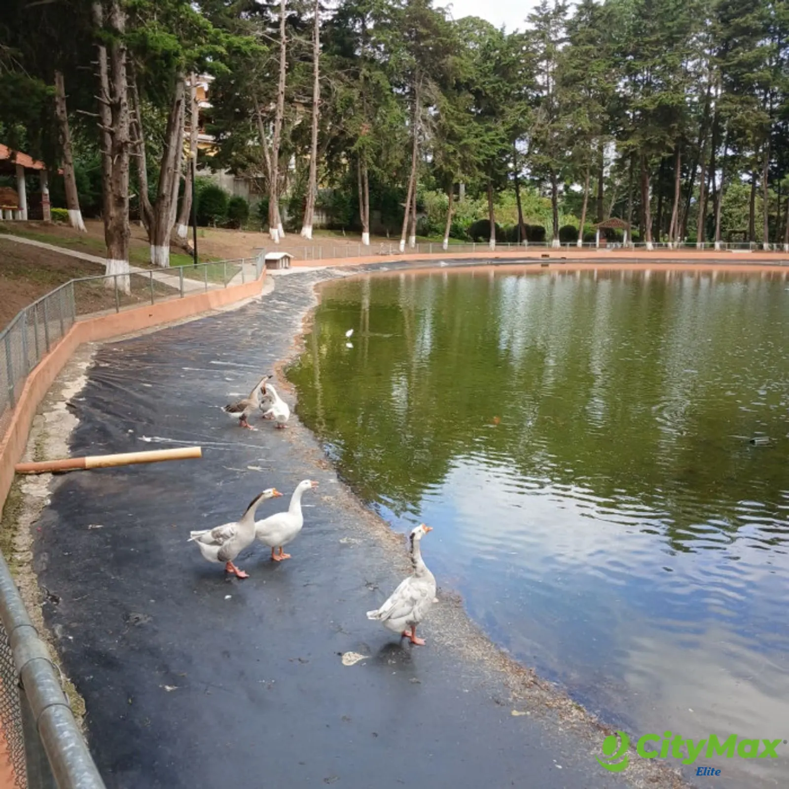 Venta de Terreno en Montecristo, San Jose Pinula - foto 12