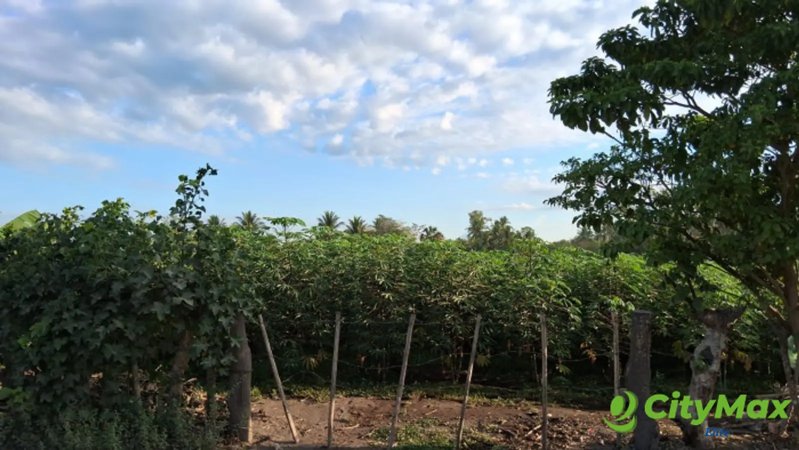 TERRENO EN VENTA EN ESCUINTLA - foto 3