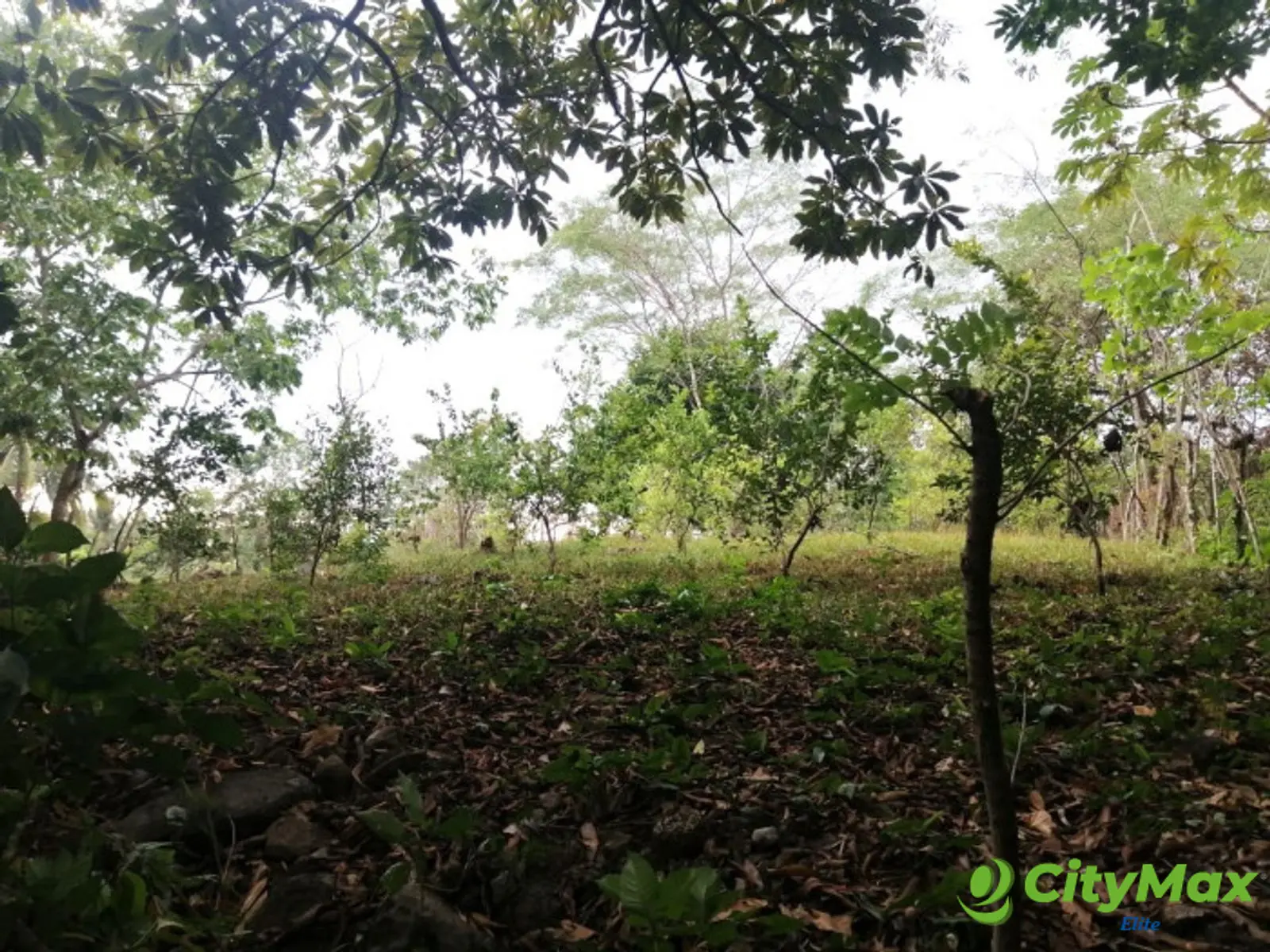 Terreno en Venta en Quintas Vallarta Escuintla - foto 2