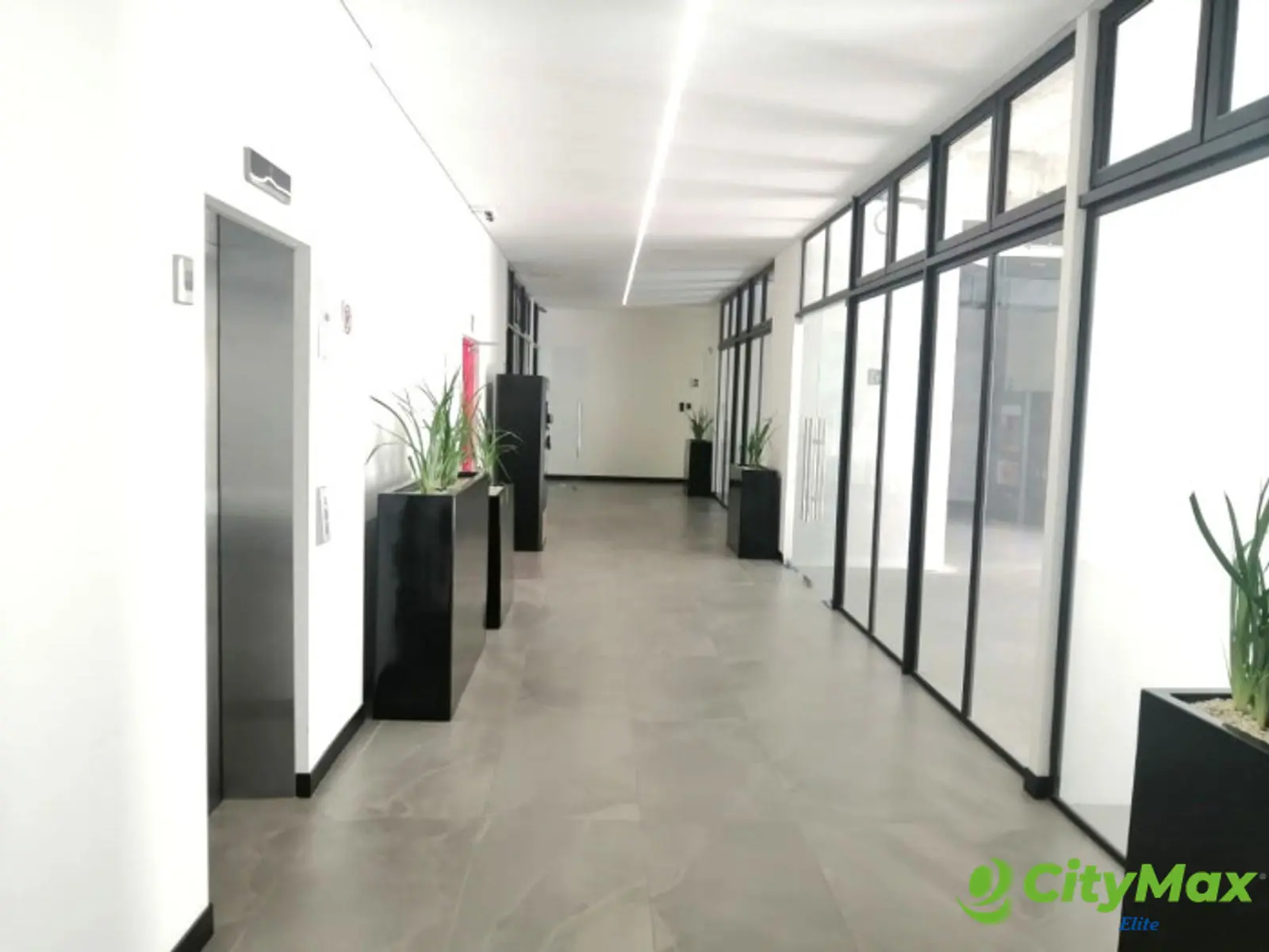 Local Comercial en Renta Zona 10 - Excelente Ubicación - foto 8