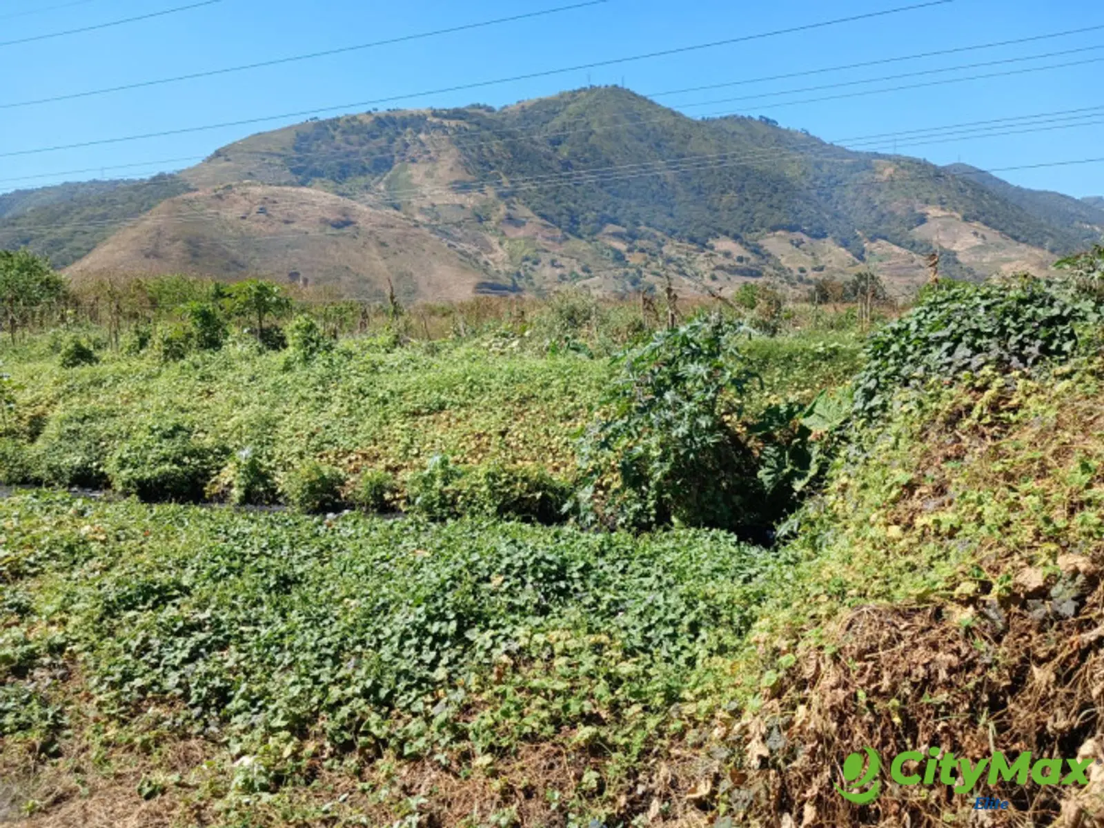 Terreno en Venta en Amatitlán - foto 2