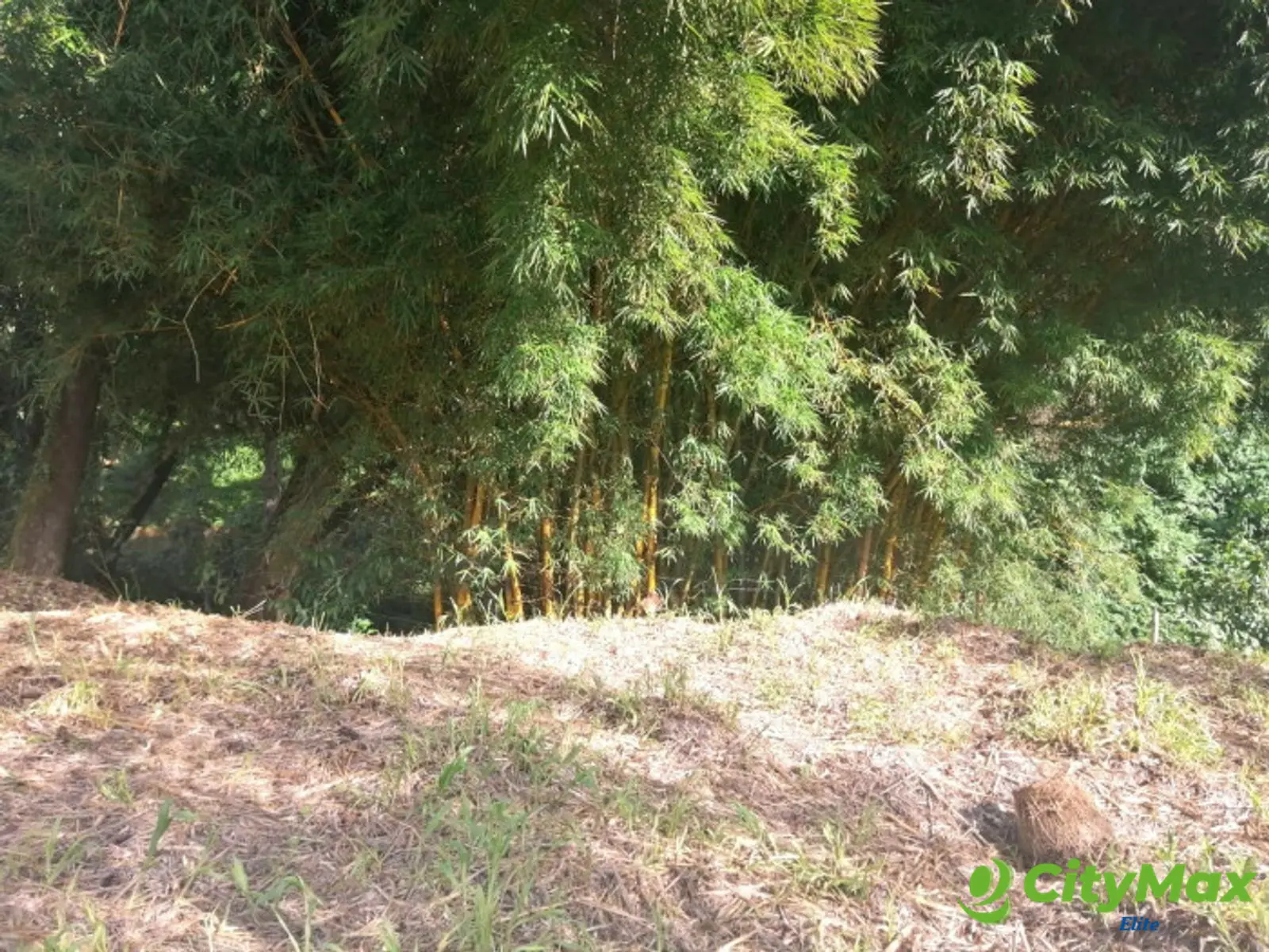 Terreno Residencia en Venta en La Montaña, Zona 16 - foto 8