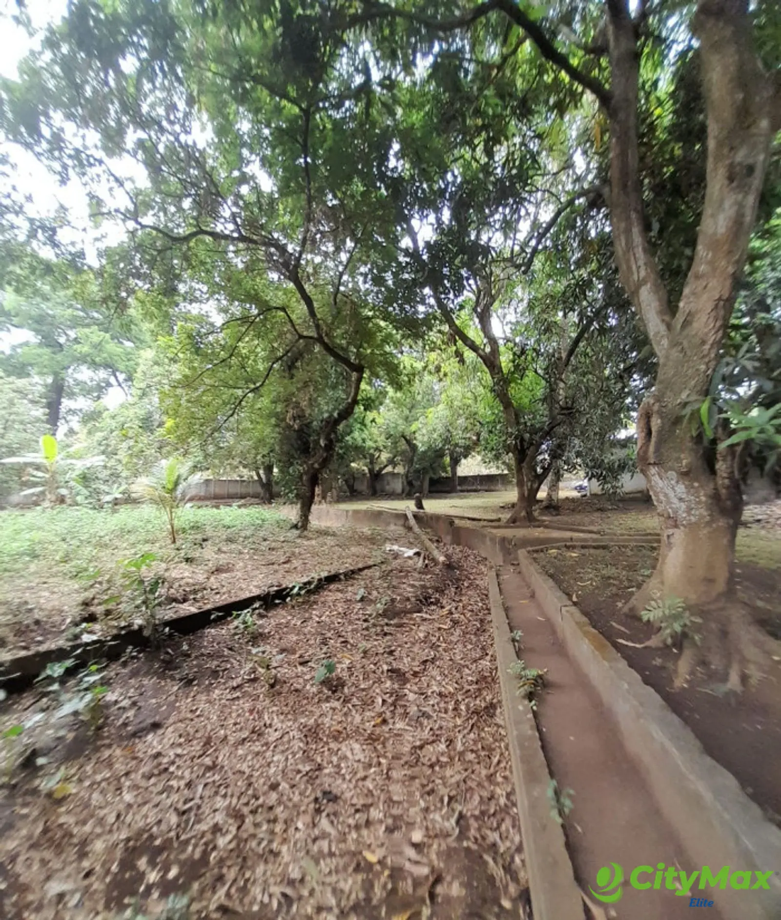 Terreno en Venta en Escuintla - foto 11