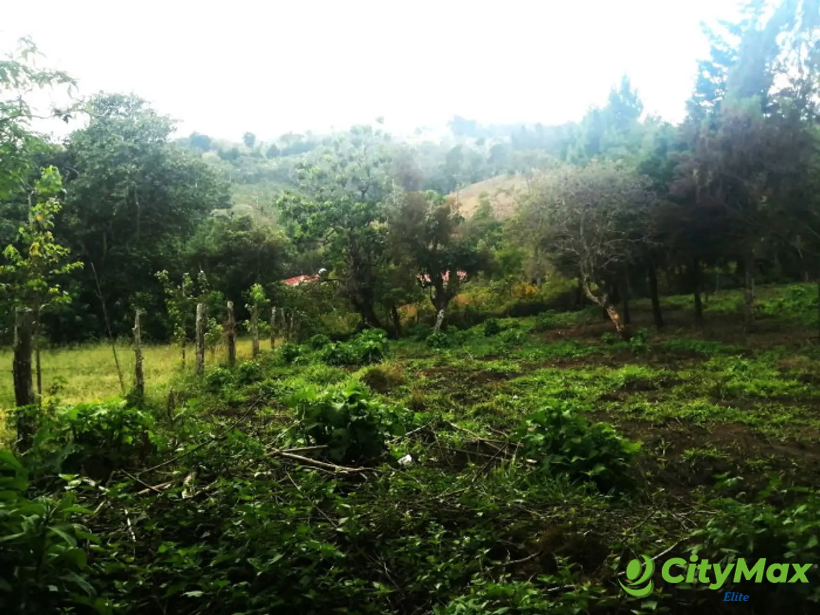 TERRENO RESIDENCIAL EN VENTA EN VILLA CANALES - foto 10