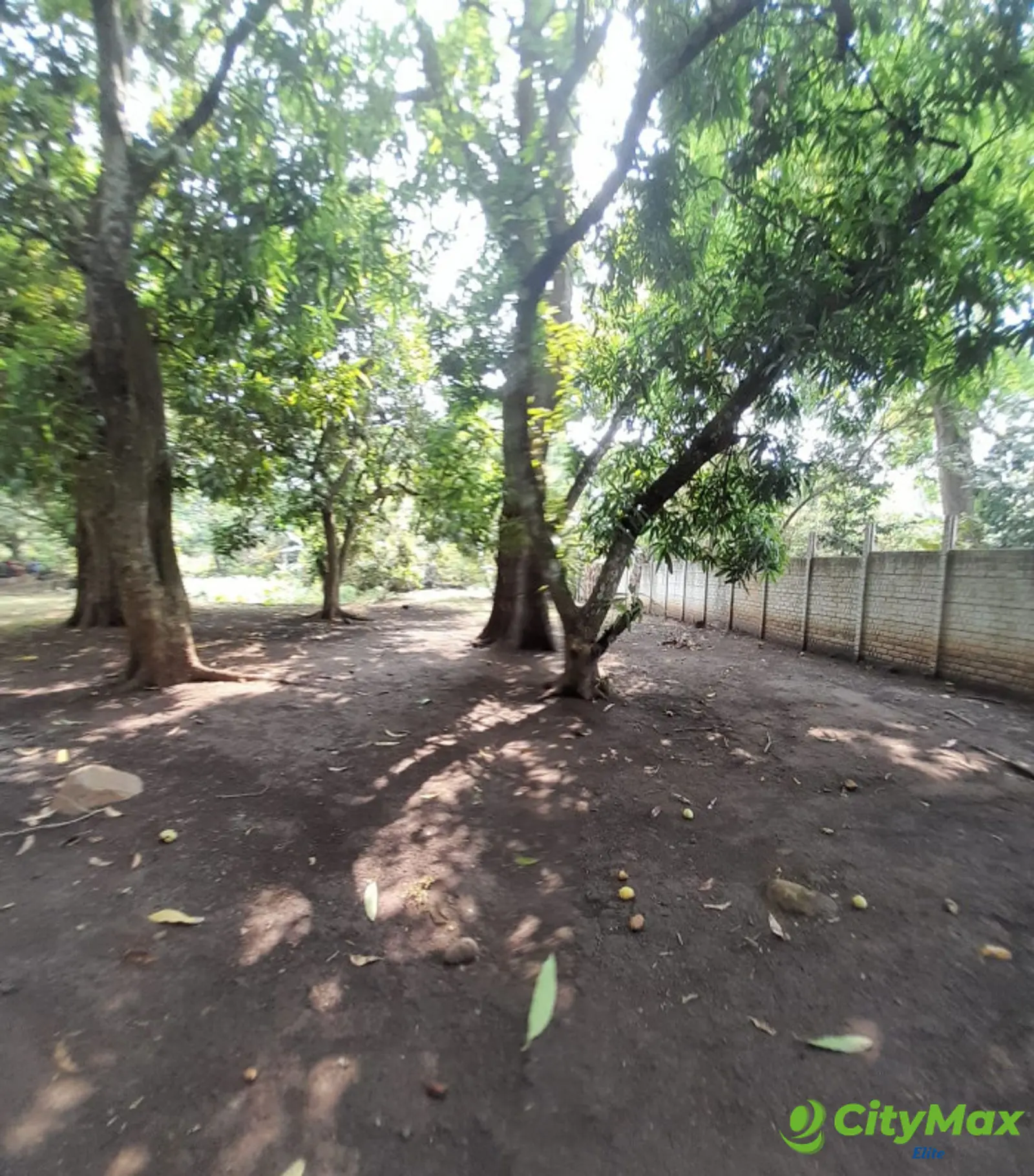 Terreno en Venta en Escuintla - foto 9