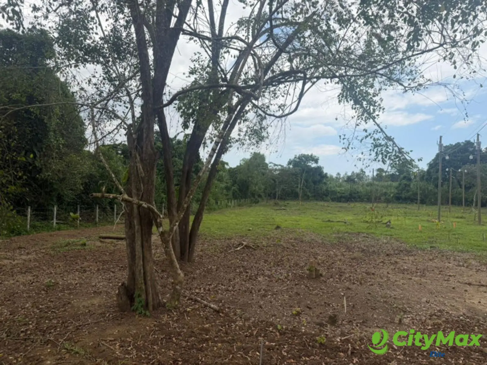 Terreno en venta en Rio Ciénega, Livingston - foto 7