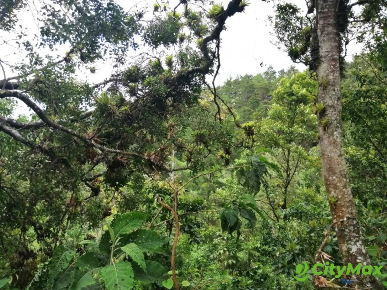 Terreno en venta en Piedra Parada, CES Guatemala - foto 9