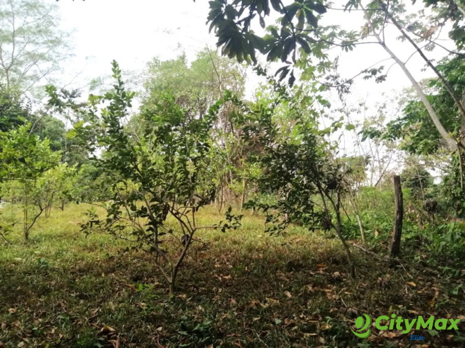 Terreno en Venta en Quintas Vallarta Escuintla - foto 16