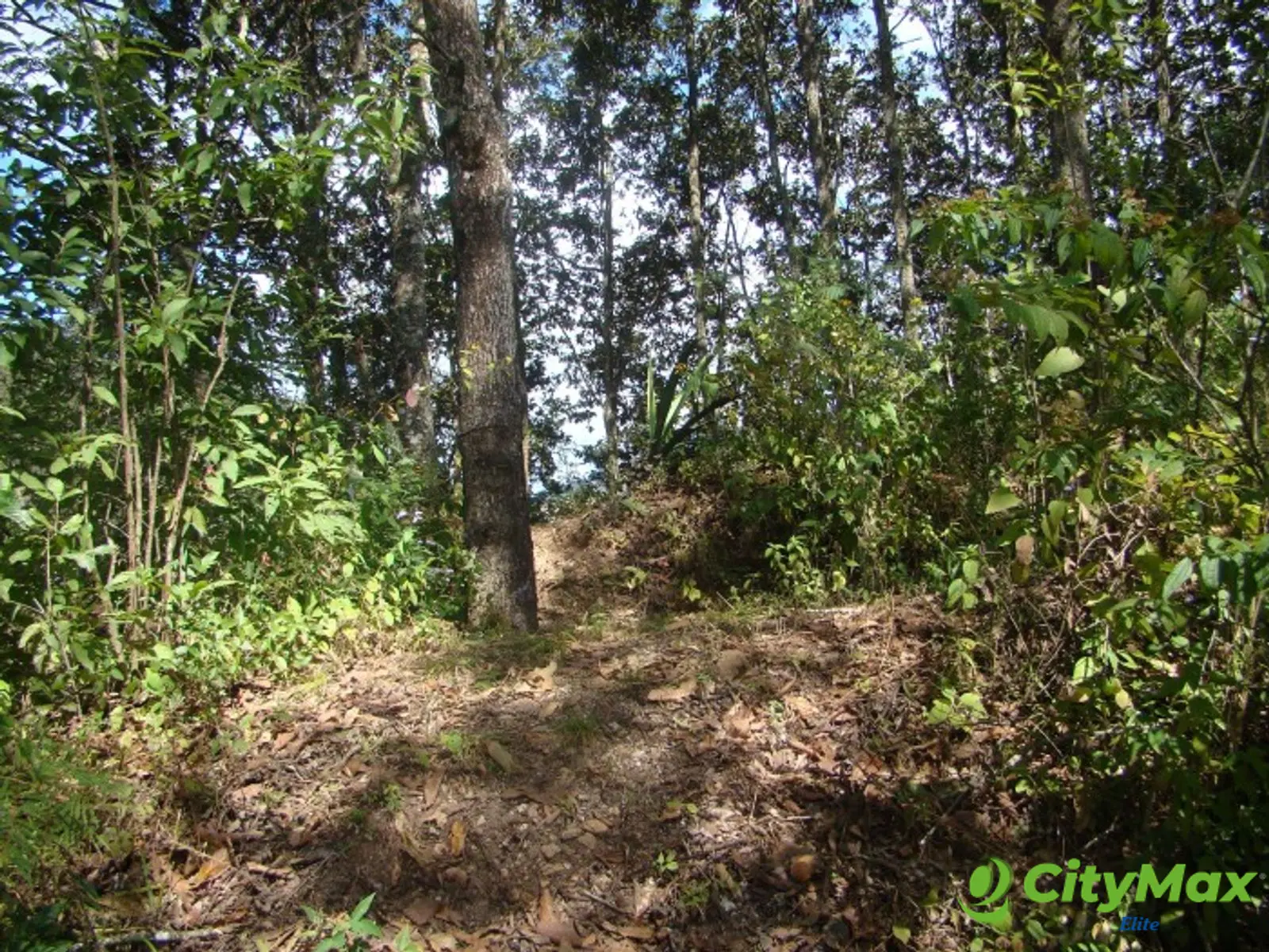 Vendo terreno en Km. 6 a San Jose Pinula Palencia - foto 3