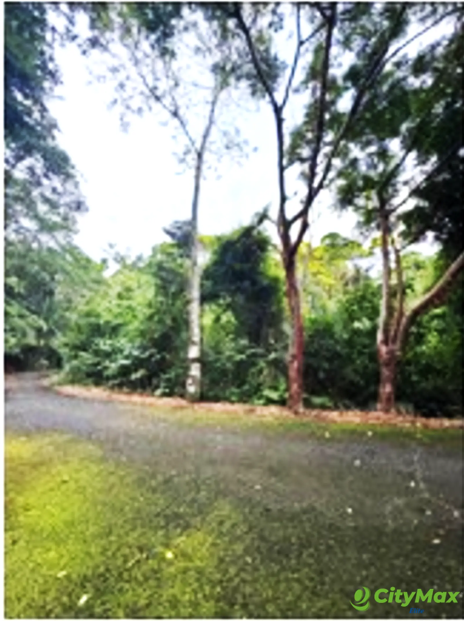 Venta de terreno en izabal - foto 3