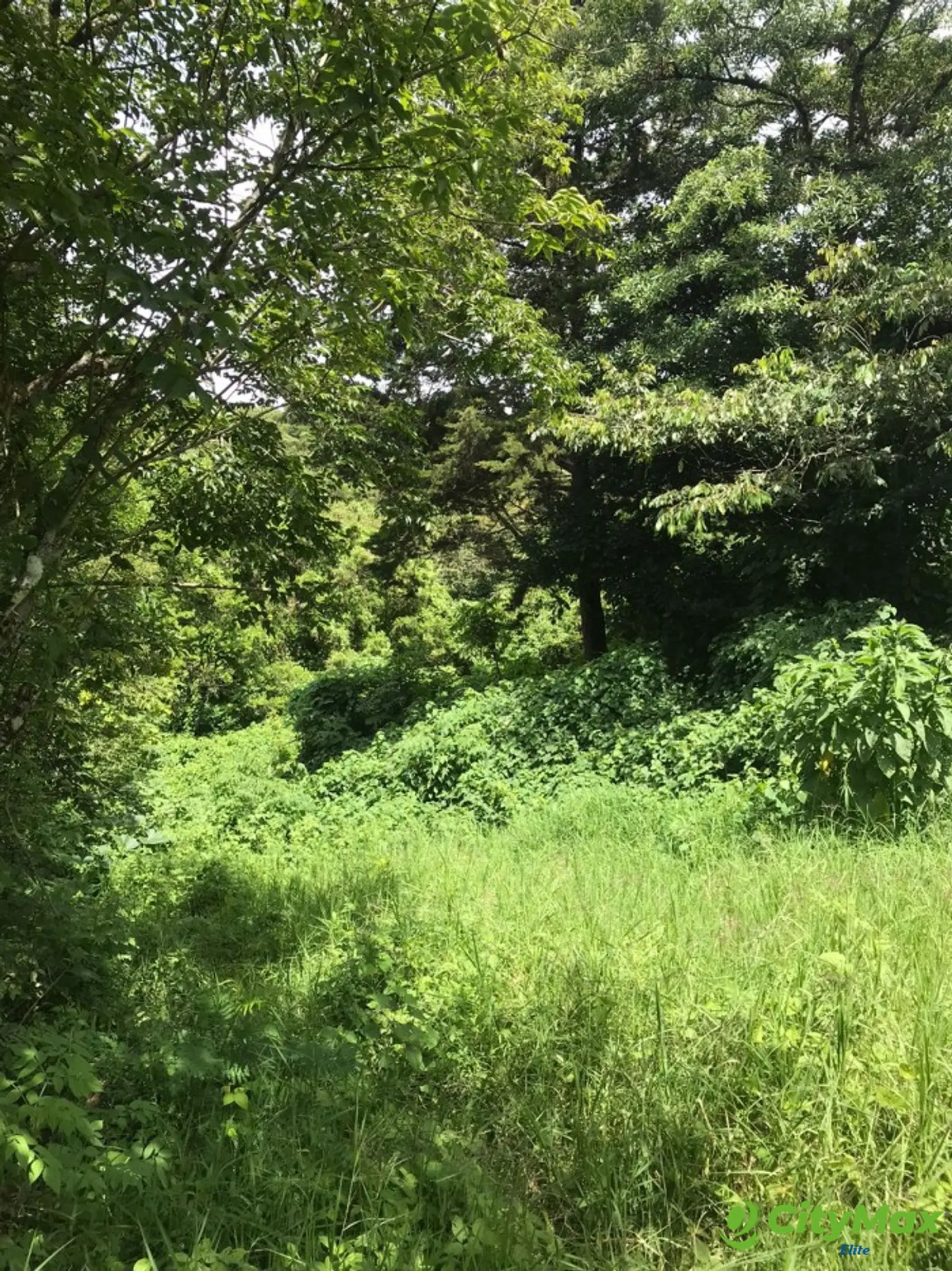 Terreno en Venta en Carretera a Santa Elena Barillas - foto 12